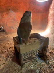 -酷嗒动物文化乐园(cutezoo西溪乐天城店)