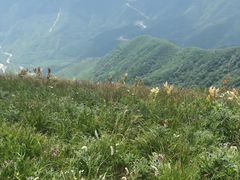 -白草畔自然风景区