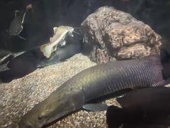 -太平洋海底世界