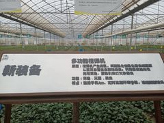 -上膳源有机农场