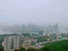 -南山植物园