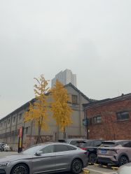 -马克叔叔的照相馆(东门店)