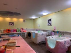-生命加•Q考拉月子会所(玫瑰园店)