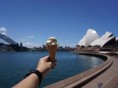 -悉尼歌剧院