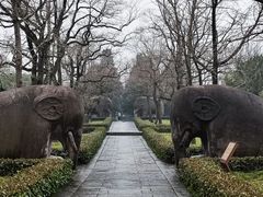 -灵谷景区