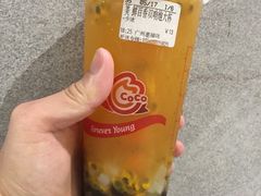 -CoCo都可(惠福店)