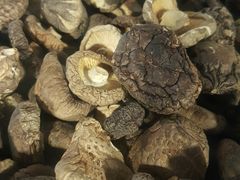 -青石桥市场北1-27号