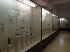 -下渚湖国家湿地公园科普馆