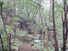 -大岭沟猕猴桃谷风景区