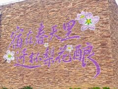 -江苏三台山国家森林公园