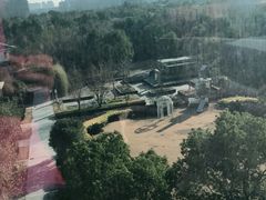 -上海浦东康桥绿地假日酒店