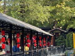 -侨美·唐荔园·40年地道粤菜