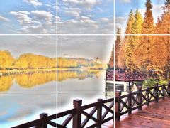 -上海市第一人民医院(松江南部)