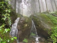 -大围山国家森林公园