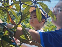 -塘栖枇杷特色园区