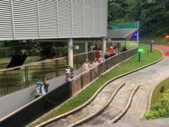 -圣淘沙天际线斜坡滑车
