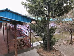 大堂-龙坛美食店