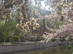 -元大都城垣遗址公园