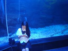 -江和美海洋公园