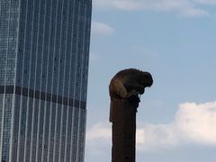 -昆明动物园