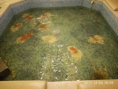 鱼疗-东方之珠洗浴休闲广场(大港店)