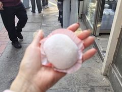 -澳门长洲糯米糍(柯打苏沙街店)