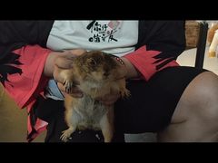 -悦河马家庭桌游剧本馆(朝阳门店)