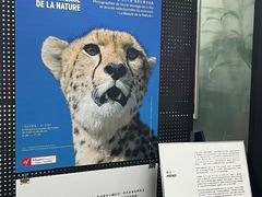 -广州法语联盟(瑞福大厦店)