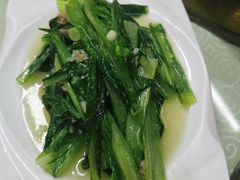 鲮鱼油麦菜-重庆乌江活鱼川湘新概念(前海店)