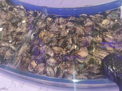 鲜活鲍鱼-澜悦港海鲜体验主题餐厅