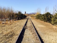 -永定河休闲森林公园