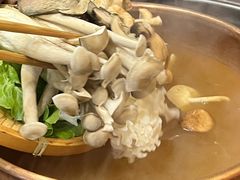 -阿山卓·野生菌火锅·纳西火塘烤肉