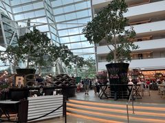 -RISE RESTAURANT(滨海湾金沙店)