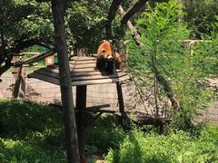 -沈阳森林动物园