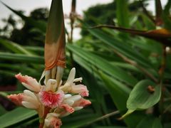 -广州神农草堂中医药博物馆