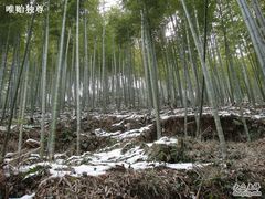 -山沟沟景区
