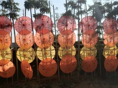 -武汉紫薇都市田园