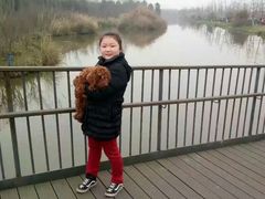 景点-白鹭湾湿地公园