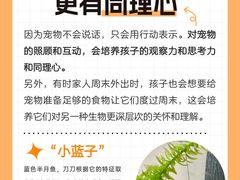 -翊宠yipet猫狗购宠庄园犬舍•猫舍