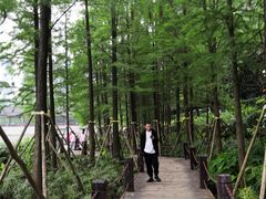 -重庆彩云湖湿地公园