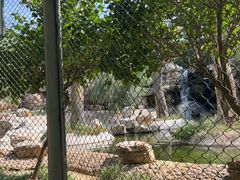 -石家庄市动物园