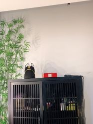 -盘子女人坊古装写真摄影(天津总店)