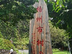 -白云山风景名胜区