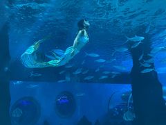 -北戴河圣蓝海洋公园