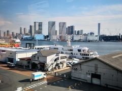-台场海滨公园船码头