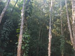 -福清灵石山国家森林公园