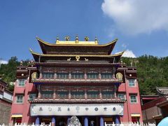 -塔尔寺-菩提树