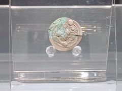 -张掖市博物馆