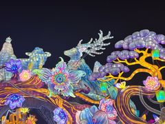 -淄博花灯齐彩城