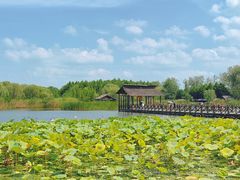 -溱湖国家湿地公园